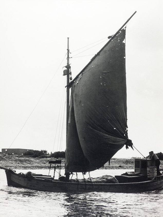 Punim jedrima