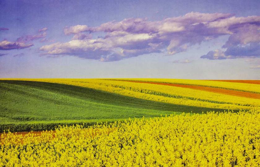 Boje