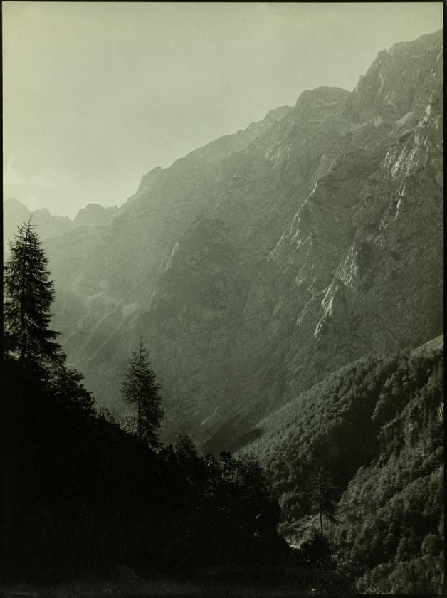 Jutarnja maglica