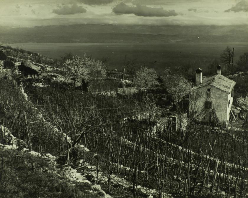 Osamljena
