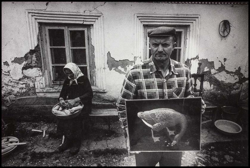 Slavko Stolnik