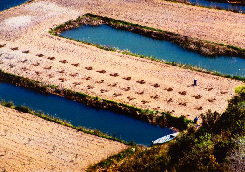 Neretva 9