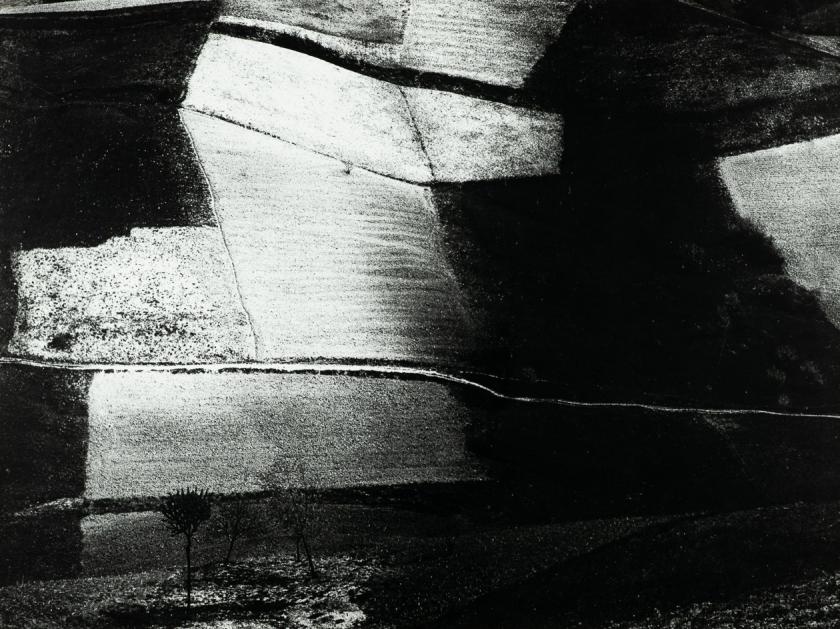 Krajolik 11