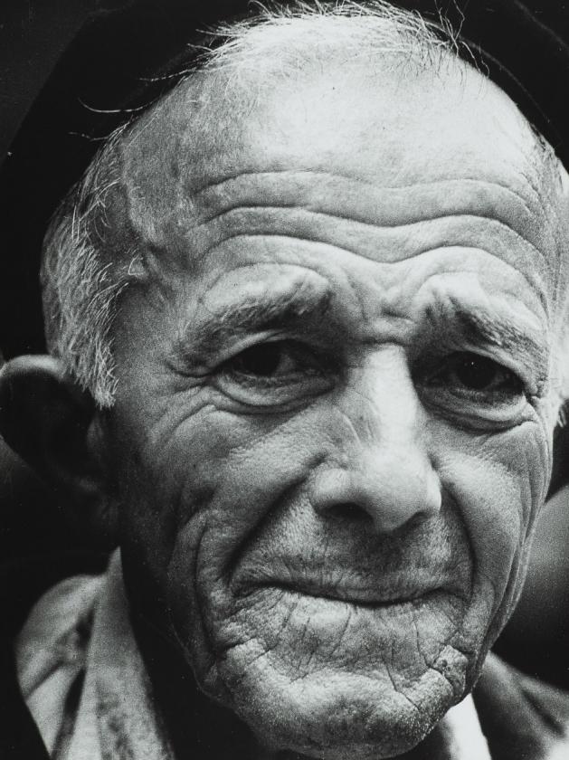 Portret N