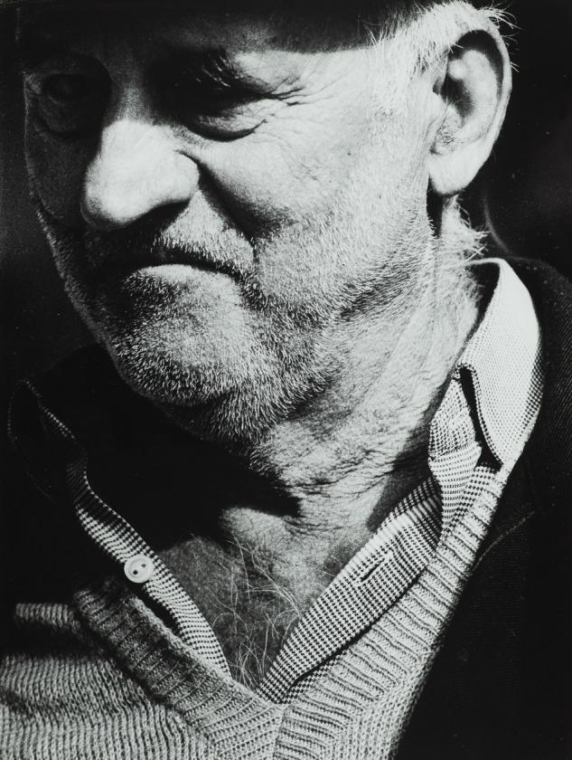 Portret S