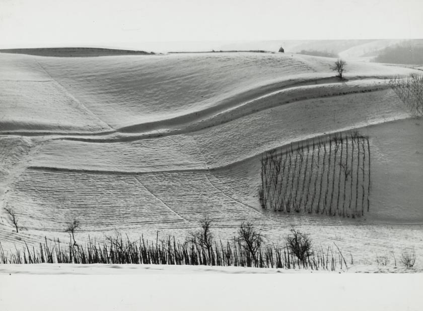 Zima 