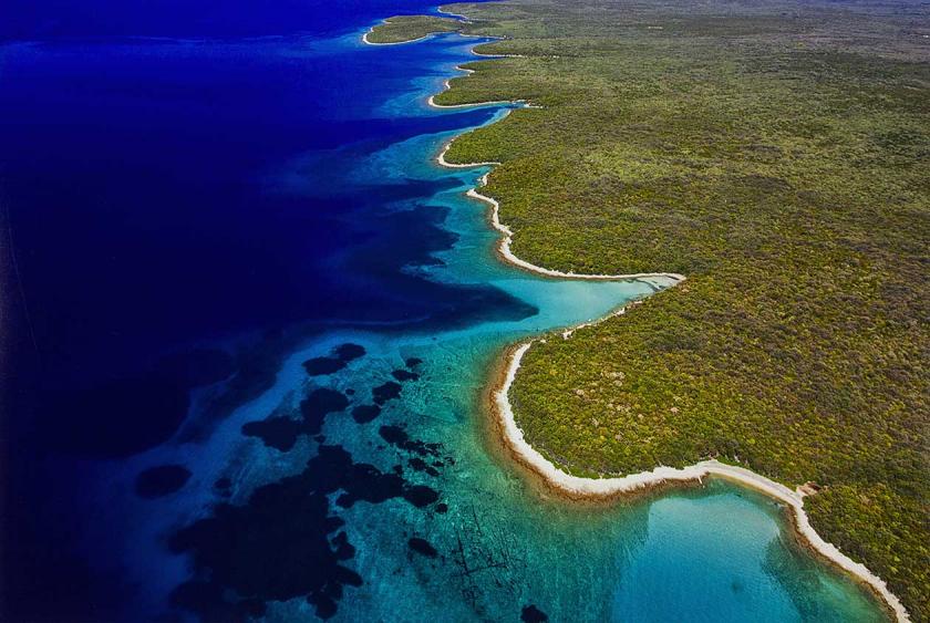 Punta križa