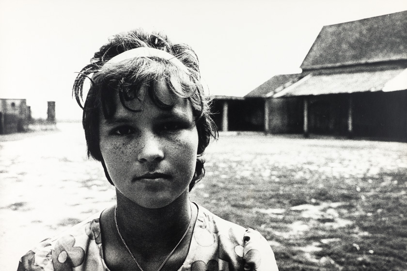 Portret II