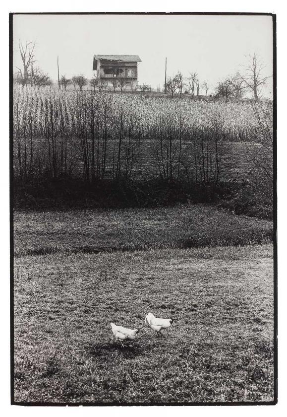 Belajske Poljice studeni '91