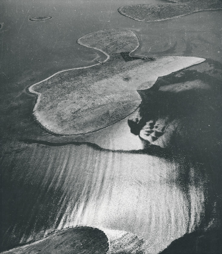 Kornati - otočić Ravni žakan