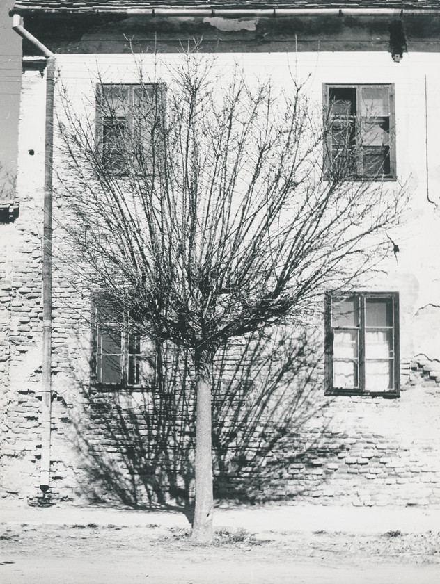 Ožujak
