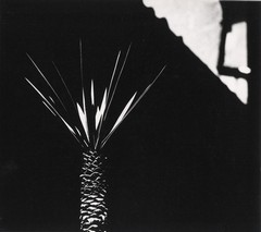 Defanziva