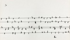 Note prirode