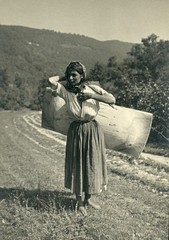 Ciganka
