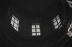 Formes vivantes