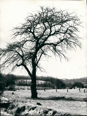 Hrvatsko zagorje