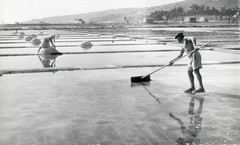 Salt-work