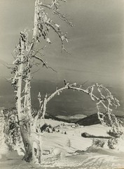 Slavoluk
