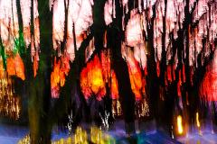 Sunset fire