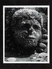 Brački portret 3