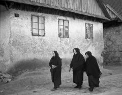 Tri udovice