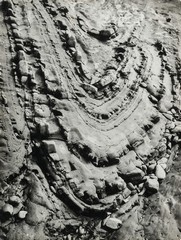 Tragovi mora