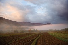 Jutro u Rizvanuši