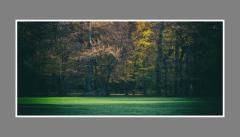 Maksimir 2