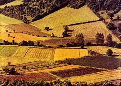 Istarski pejsaž