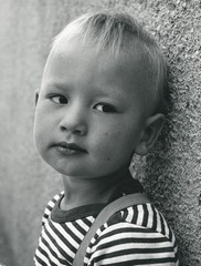 Damir