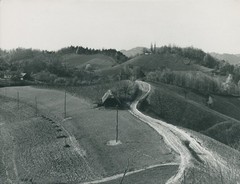 Bijela cesta