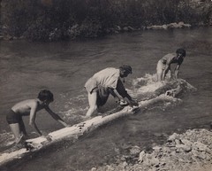Splavari