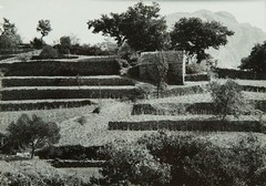 Iz Dalmacije