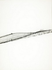 Grafika 