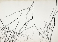 Grafika  3 