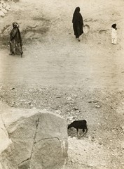 Sivi dan 
