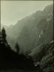 Jutarnja maglica