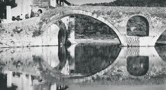 Rijeka Crnojevića